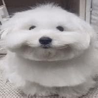 The Science of Revolution: An Introduction by Lenny Wolff