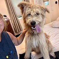 Profile Image for Amanda Woeste.