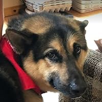 Profile Image for Tatiana Zhandarmova.