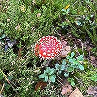 Profile Image for Oliver.