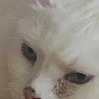 Profile Image for LuciaWords.