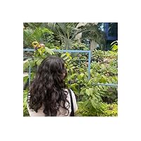 Profile Image for Kriti.