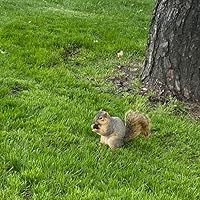 Profile Image for Anubha.