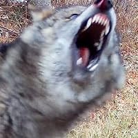 Profile Image for Mnolololo.