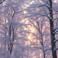 Profile Image for Autum.