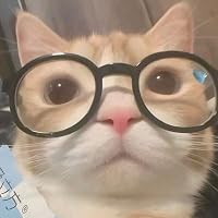 Profile Image for jo.