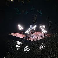 He/She/They: How We Talk About Gender and Why It Matters by Schuyler ...