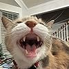 Amelia
