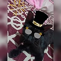 Profile Image for Indira Iljas.