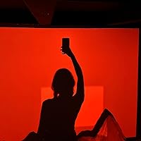 Glory in a Line: A Life of Foujita--the Artist Caught Between East