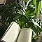 sydneysbookshelves2