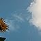 Awan