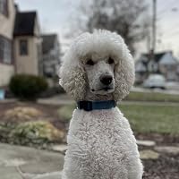 Profile Image for Jeff.