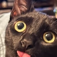 Profile Image for Kali.