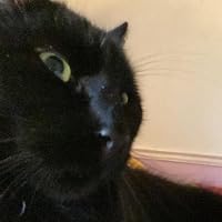 Profile Image for Tamar.