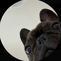 Profile Image for dhyren.