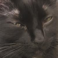 Profile Image for Katie.