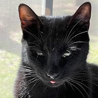 Profile Image for Sarah.