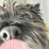 Profile Image for Avril.