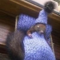 Profile Image for Reader.