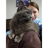 Profile Image for Melissa Kreycik.