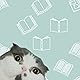 Toe Beans & Tales