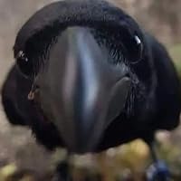 Profile Image for reading_with_olly.