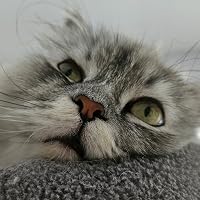 Profile Image for Patafix21.