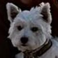 Profile Image for Kati A.