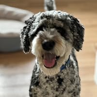 Profile Image for Jodi.