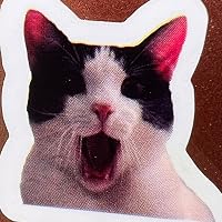 Profile Image for InMoods.