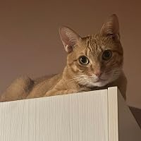 Profile Image for KatieReadsAndReads.