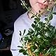 jillian