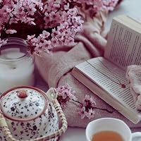 Profile Image for Wallflower With A Book.