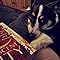 Izzy Jonas