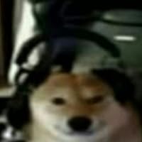 Profile Image for lui.