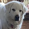 Debra