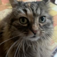 Profile Image for Alice.