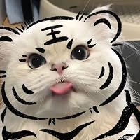 Profile Image for Jojoyubinss.