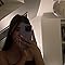 Ecrin