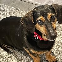 Ұл анасымен шұлықпен жыныстық қатынасқа түскен Әйелдерді сүндетке отырғызу туралы порно көру