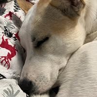Profile Image for Amber K.