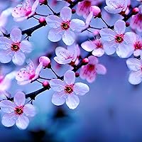 薫る花は凛と咲く 19 [Kaoru Hana wa Rin to Saku 19] by Saka Mikami