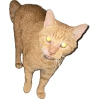 Profile Image for Tiyana Poopy.