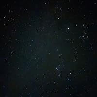 Profile Image for Alexa.