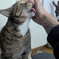 Profile Image for Brandon.