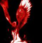Profile Image for navs.