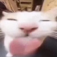 Profile Image for soupeausucre.