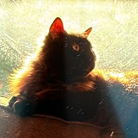 Profile Image for Finnegan Fischer.
