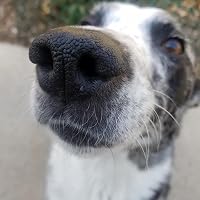 Profile Image for Aubrey B.